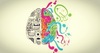Logo Dr. Luis Felipe C. Jardim