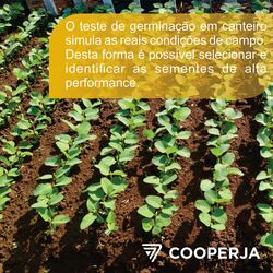 Cooperja - Praia Grande