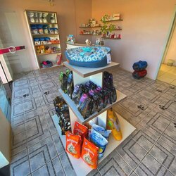 Espaço animal Clínica Veterinária