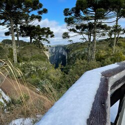 Trip dos Canyons